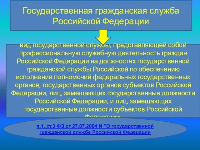 вид государственной службы, представляющей собой профессиональную служебную деятельность граждан Российской Федерации на