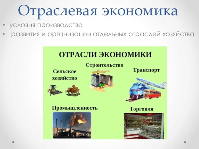 Отраслевая экономика условия производства развития и организации отдельных отраслей хозяйства