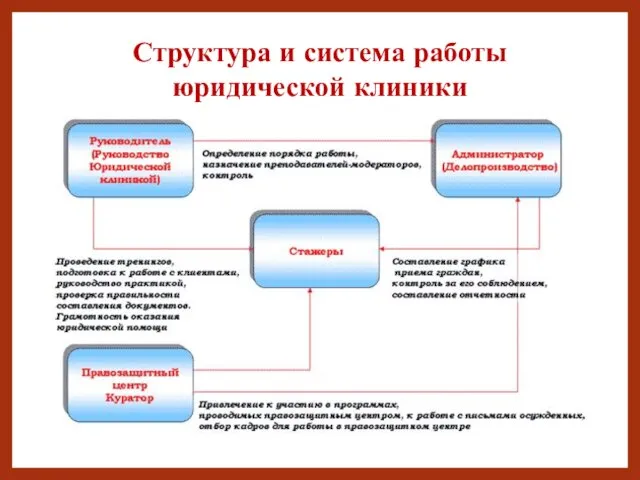 Структура и система работы юридической клиники