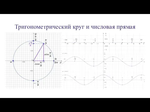 Тригонометрический круг и числовая прямая