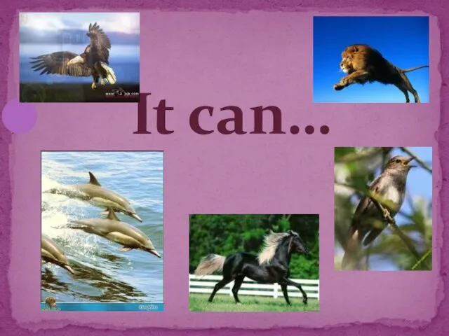 It can…