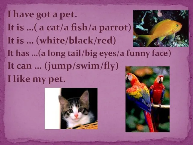 I have got a pet. It is …( a cat/a fish/a parrot)