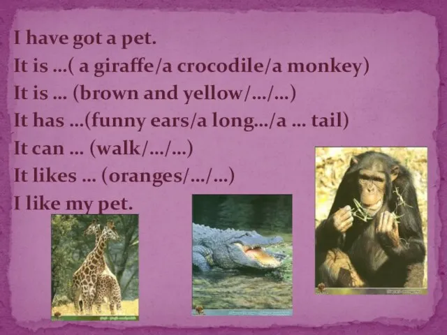 I have got a pet. It is …( a giraffe/a crocodile/a monkey)