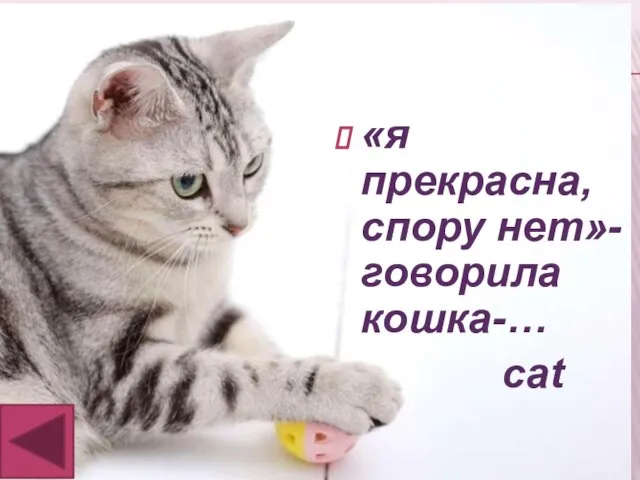 «я прекрасна, спору нет»-говорила кошка-… cat