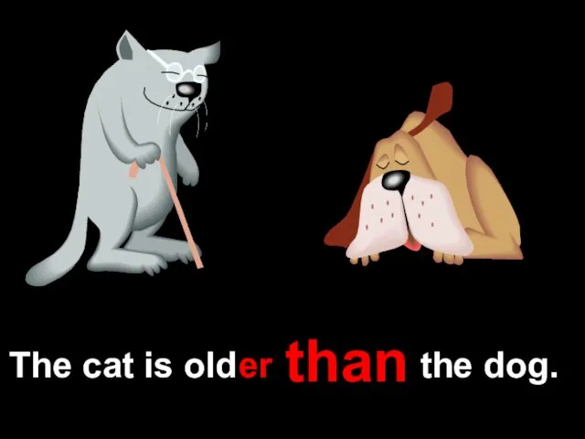 The cat is old the dog. er than