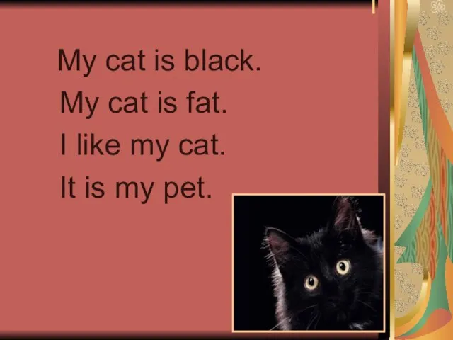 I My cat is black. My cat is fat. I like my