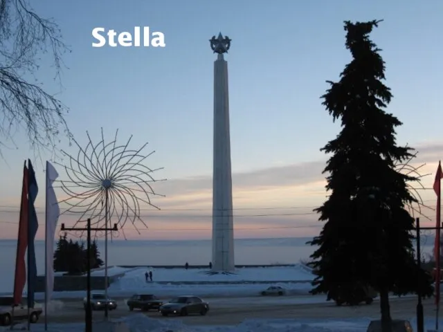 Stella