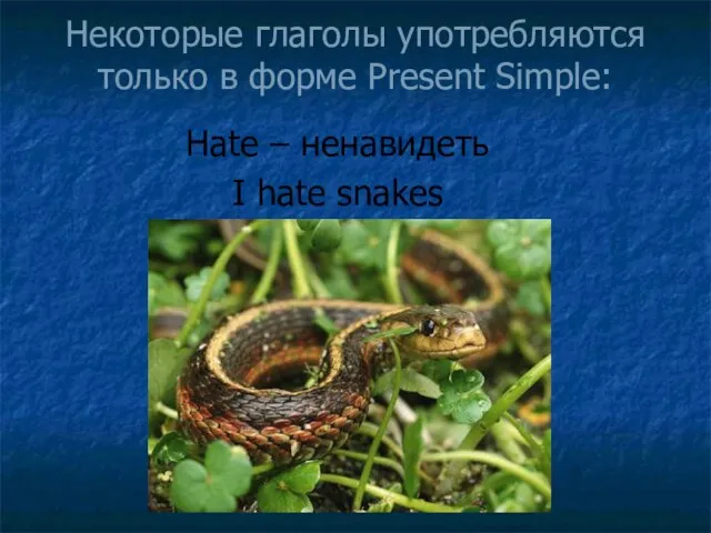 Некоторые глаголы употребляются только в форме Present Simple: Hate – ненавидеть I hate snakes