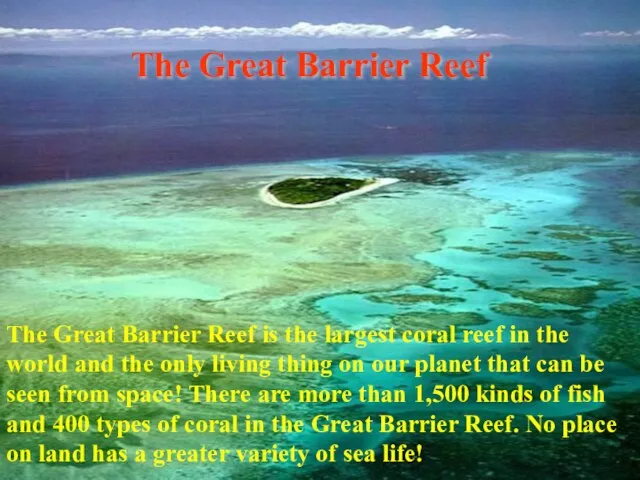 The Great Barrier Reef The Great Barrier Reef is the largest coral