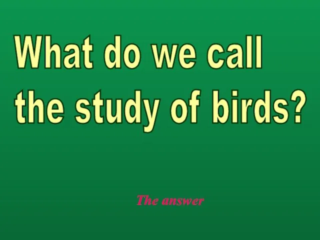 The answer What do we call the study of birds?