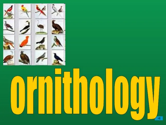 ornithology