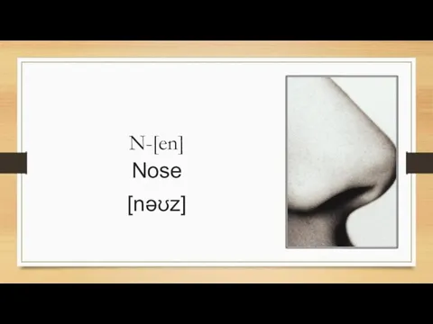 N-[en] Nose [nəʊz]