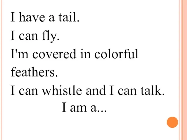 I have a tail. I can fly. I'm covered in colorful feathers.