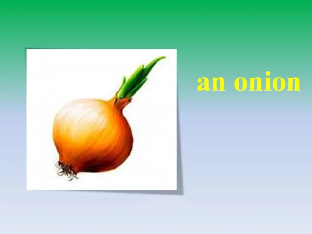 an onion