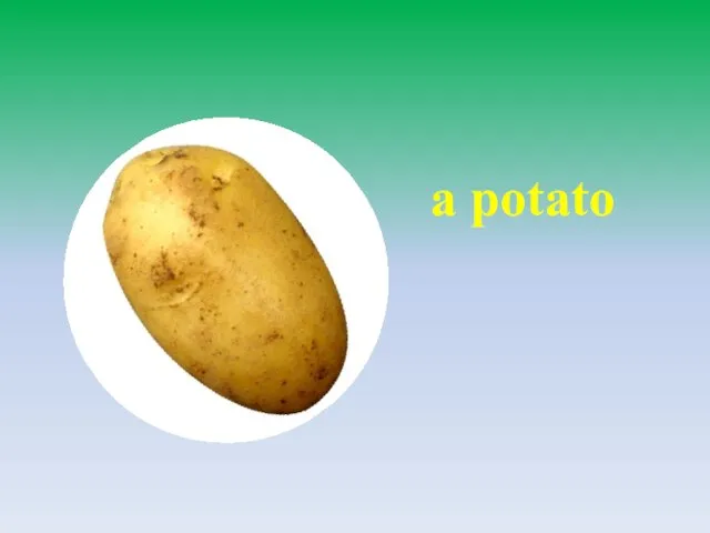 a potato