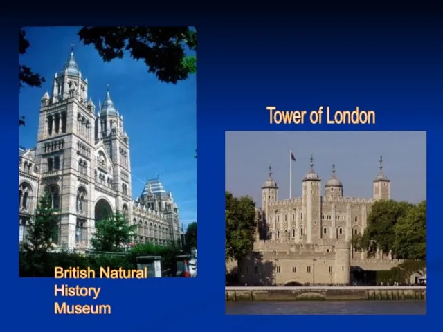 British Natural History Museum Tower of London