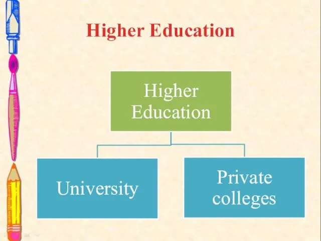 Higher Education