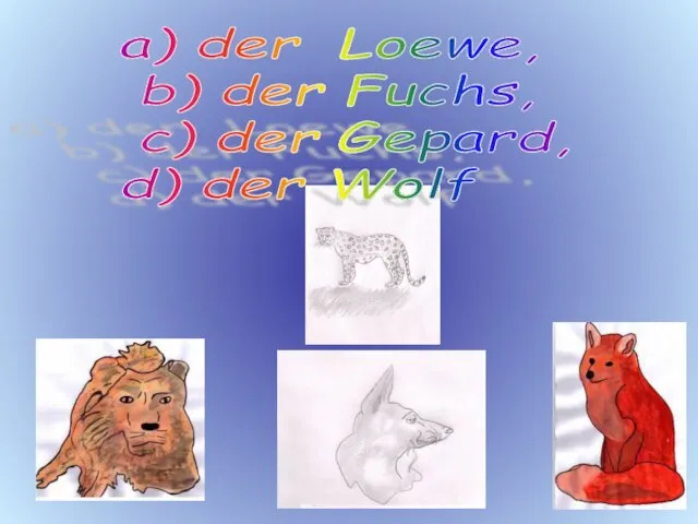 a) der Loewe, b) der Fuchs, c) der Gepard, d) der Wolf