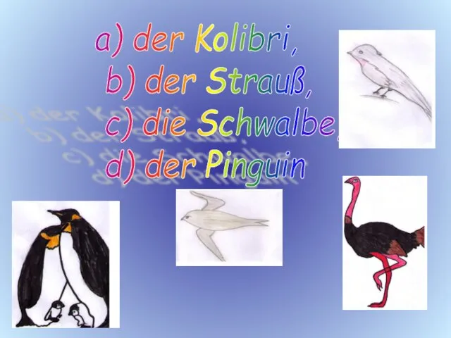 a) der Kolibri, b) der Strauß, c) die Schwalbe, d) der Pinguin