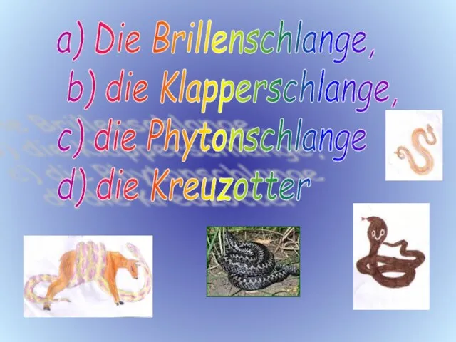 a) Die Brillenschlange, b) die Klapperschlange, c) die Phytonschlange d) die Kreuzotter