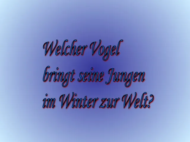 Welcher Vogel bringt seine Jungen im Winter zur Welt?