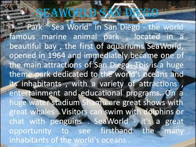 SeaWorld San Diego Park " Sea World" in San Diego - the