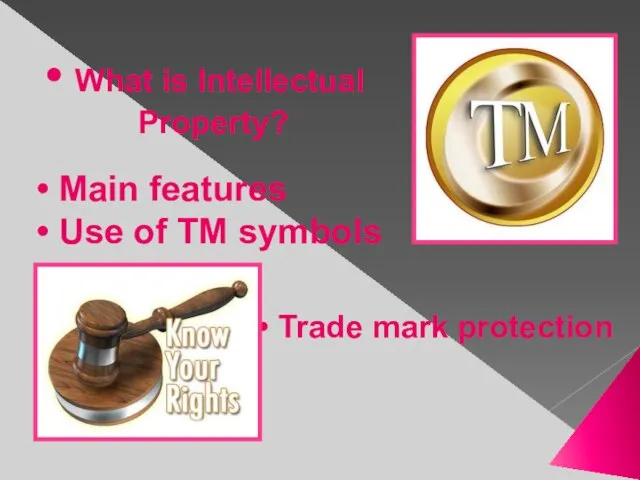 Main features Use of TM symbols Trade mark protection What is Intellectual Property?