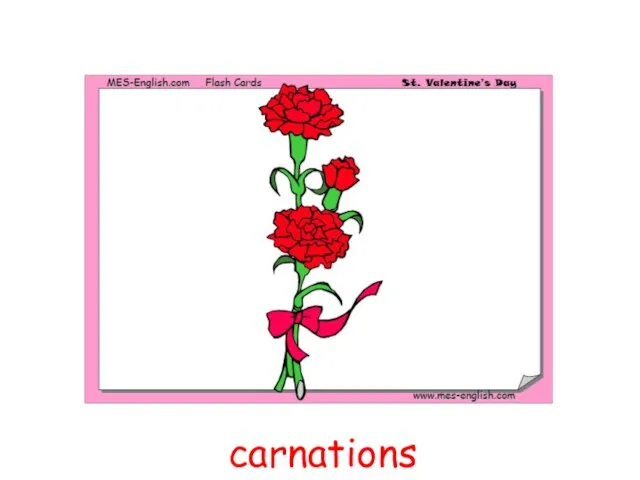 carnations