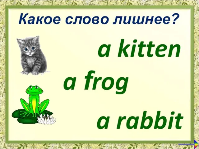 a kitten a frog Какое слово лишнее? a rabbit
