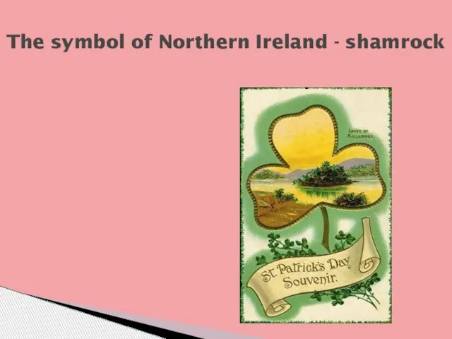 The symbol of Northern Ireland - shamrock