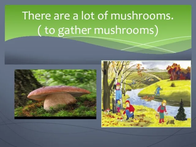 There are a lot of mushrooms. ( to gather mushrooms) We are going to …