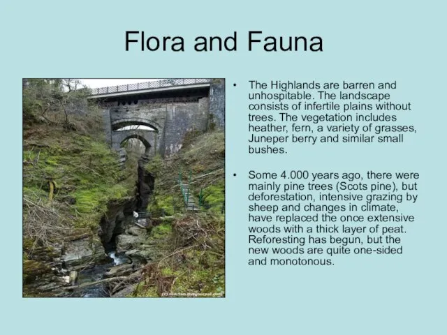 Flora and Fauna The Highlands are barren and unhospitable. The landscape consists