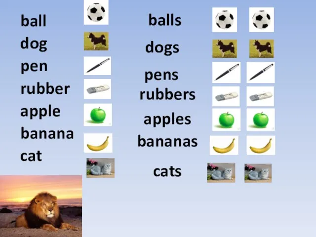 ball dog pen rubber apple banana cat balls dogs pens rubbers apples bananas cats