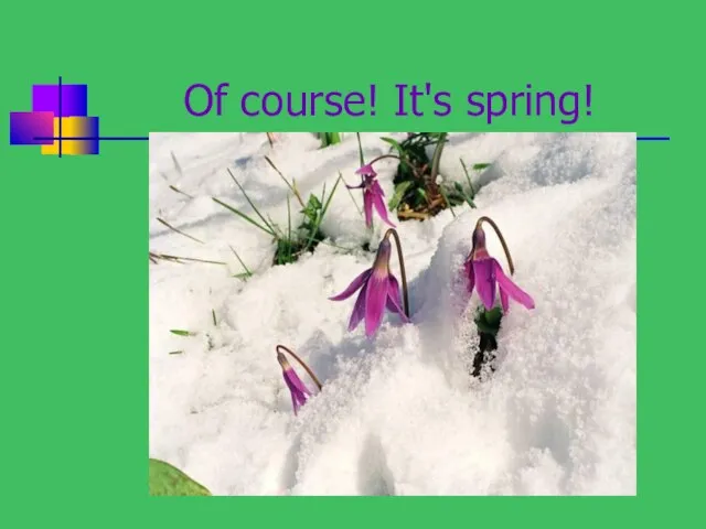 Of course! It's spring!