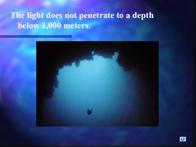 The light does not penetrate to a depth below 1,000 meters.