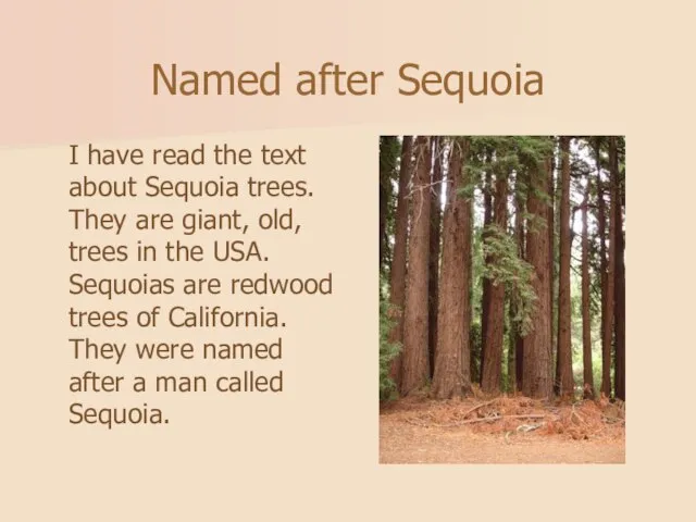 Named after Sequoia I have read the text about Sequoia trees. They