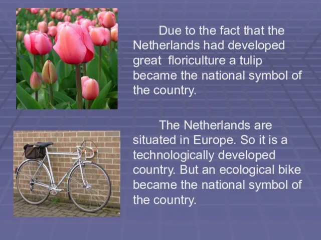 Due to the fact that the Netherlands had developed great floriculture a