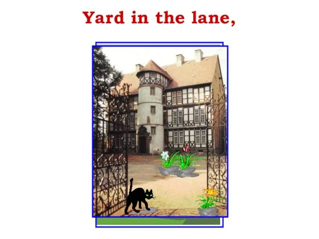 Yard in the lane,