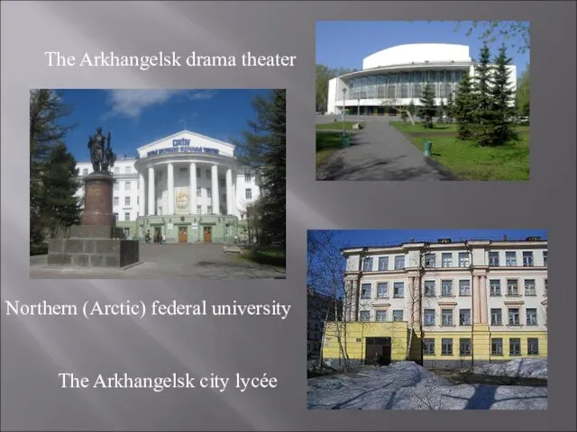 The Arkhangelsk drama theater Northern (Arctic) federal university The Arkhangelsk city lycée
