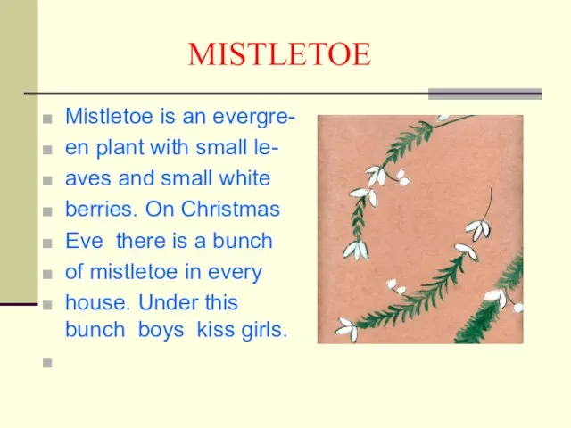MISTLETOE Mistletoe is an evergre- en plant with small le- aves and