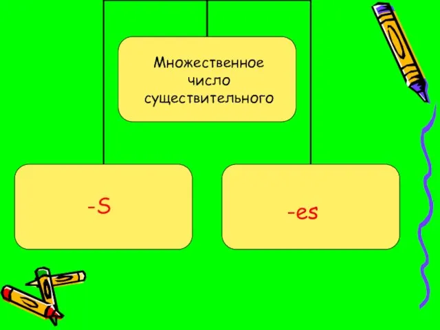 Множественное число существительного -S -es