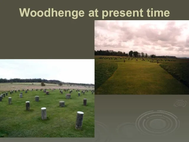 Woodhenge at present time