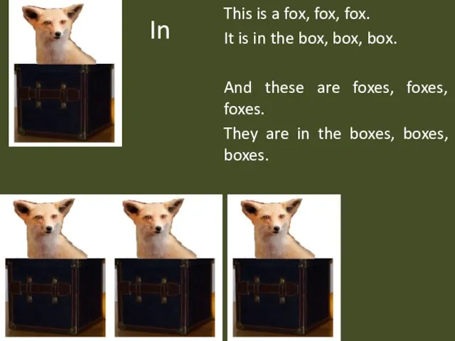 In This is a fox, fox, fox. It is in the box,