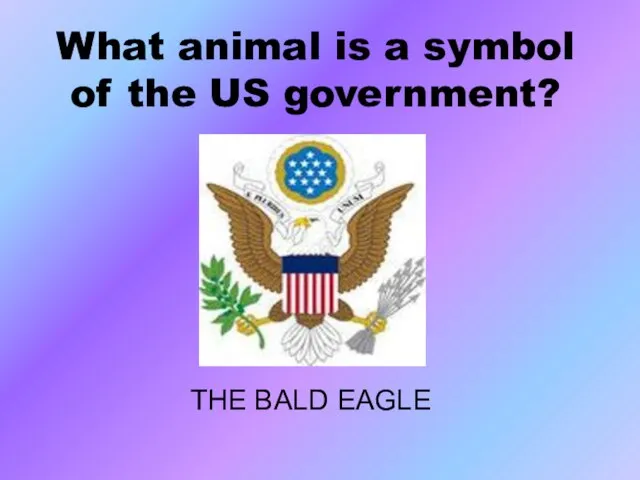 What animal is a symbol of the US government? THE BALD EAGLE