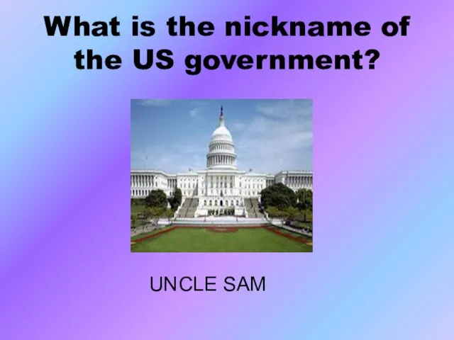 What is the nickname of the US government? UNCLE SAM