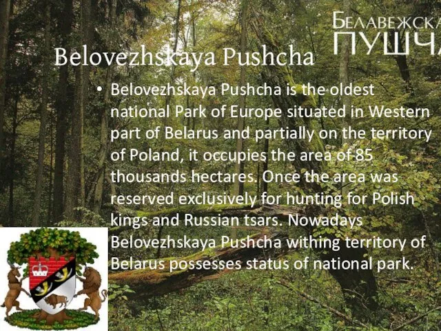 Belovezhskaya Pushcha Belovezhskaya Pushcha is the oldest national Park of Europe situated