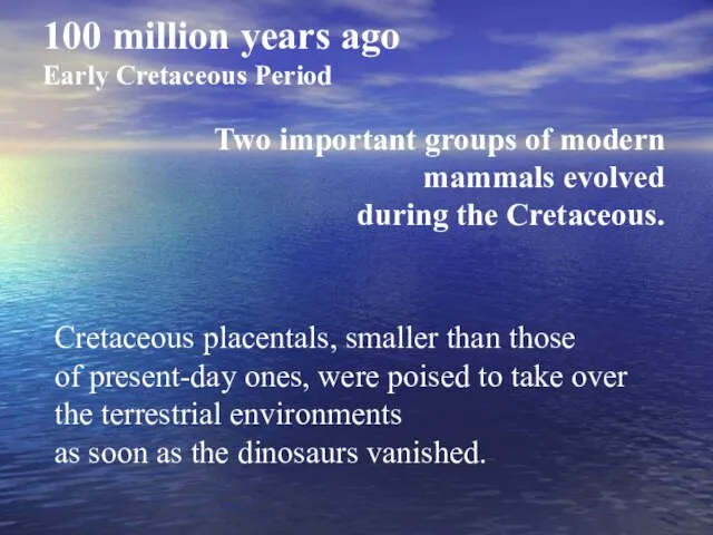 Two important groups of modern mammals evolved during the Cretaceous. 100 million