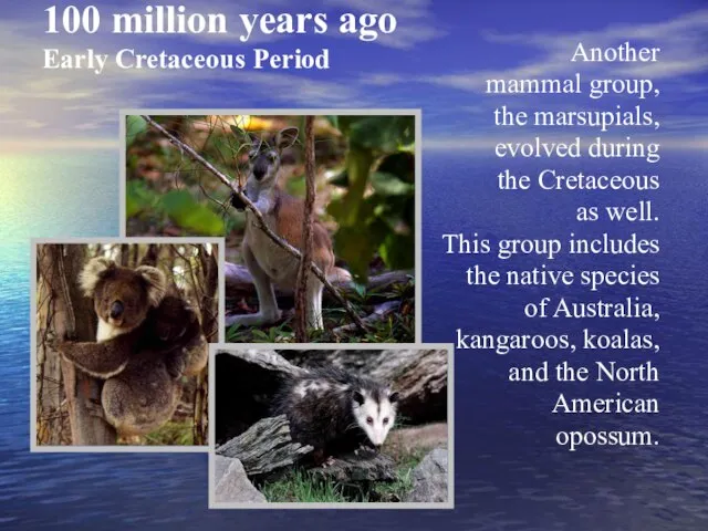 100 million years ago Early Cretaceous Period Another mammal group, the marsupials,