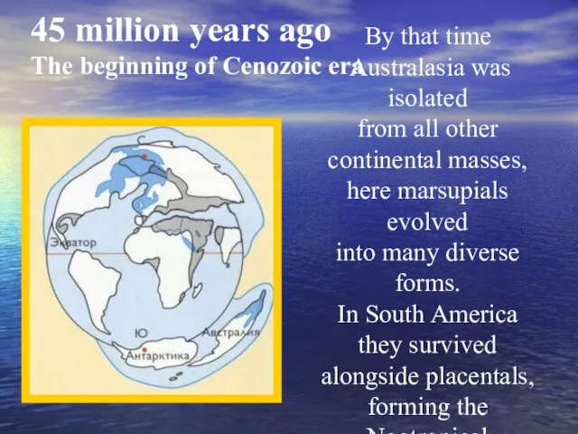 45 million years ago The beginning of Cenozoic era By that time