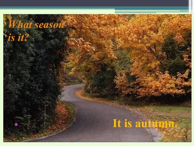 What season is it? It is autumn.